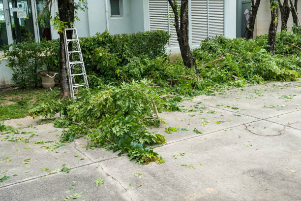 Lawn Pest Prevention in Granger, IN